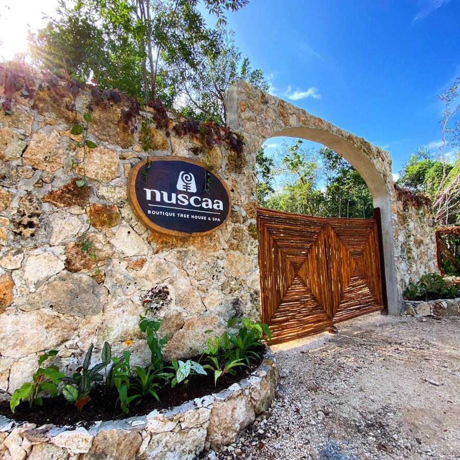 Nuscaa Boutique Tree House & Spa Hotell Puerto Morelos Exteriör bild