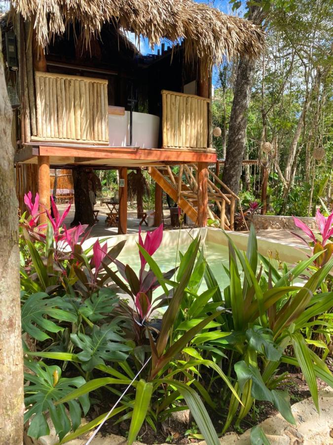 Nuscaa Boutique Tree House & Spa Hotell Puerto Morelos Exteriör bild