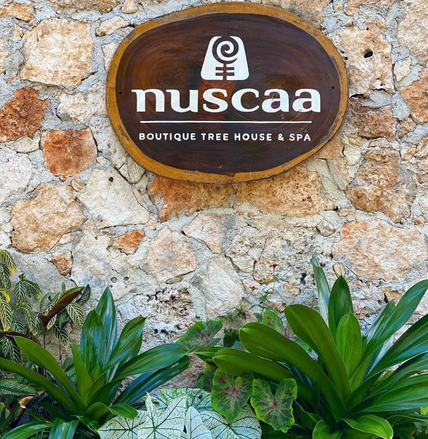 Nuscaa Boutique Tree House & Spa Hotell Puerto Morelos Exteriör bild
